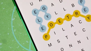 Today's NYT Strands Hints (and Answer) for Thursday, November 27, 2025