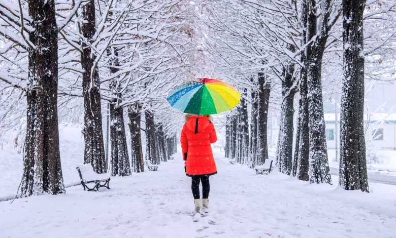 Tomorrow's Weather Winnipeg: Snowy Morning, Windy Chill