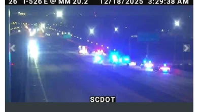 Traffic halted on Don Holt bridge as first responders manage early morning incident