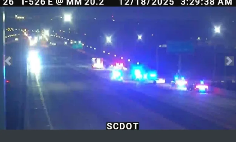 Traffic halted on Don Holt bridge as first responders manage early morning incident