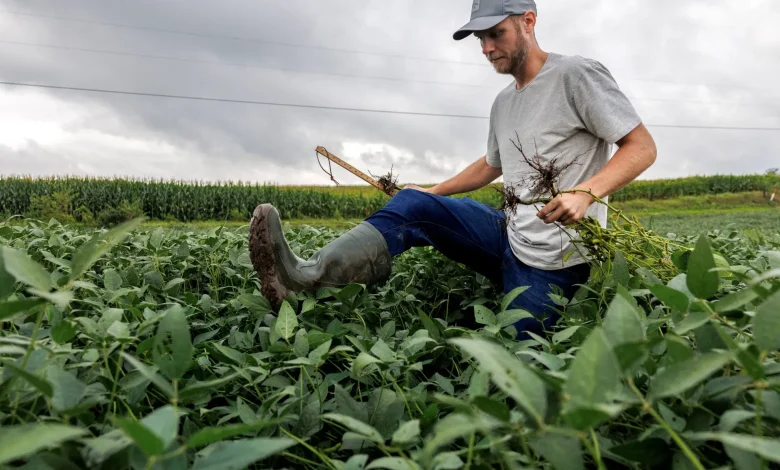 Trump announces $12bn package to aid farmers hurt by his tariffs