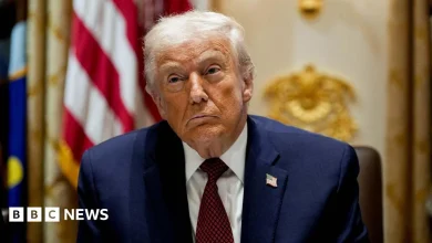 Trump criticises 'decaying' European countries and 'weak' leaders