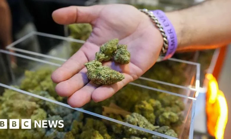 Trump expected to expand access to marijuana in a major shift in drug policy