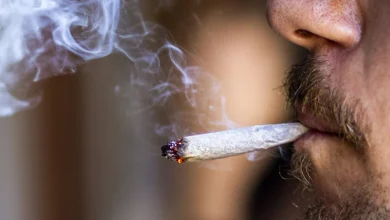 Trump expected to sign an order moving to reclassify cannabis and open up medical potential