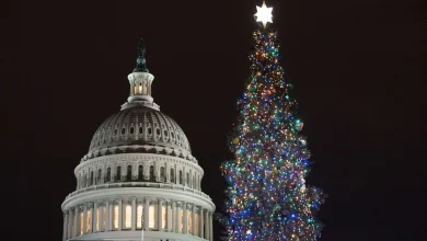 Trump gives most federal employees two days off around Christmas