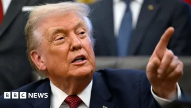 Trump says $72bn Netflix-Warner Bros deal 'could be a problem'