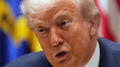 Trump says he doesn't want Somalis in the US, wants them back in their homeland