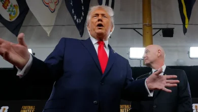Trump shares details about White House UFC event for America's 250th