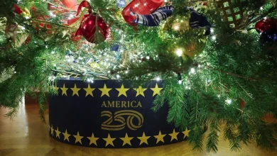 Trump unveils Freedom 250 to deliver spectacular anniversary celebration for America