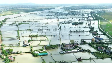 Từ lợi thế sinh thái đến thoát nghèo bền vững: Triển vọng của nghề rươi Vĩnh Thuận