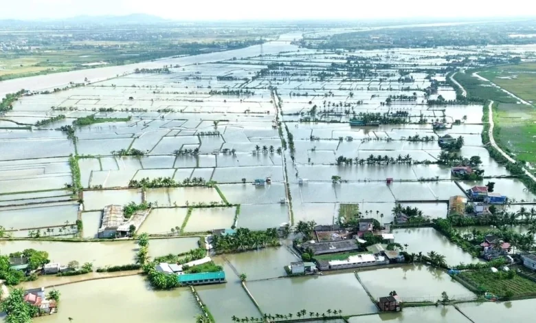 Từ lợi thế sinh thái đến thoát nghèo bền vững: Triển vọng của nghề rươi Vĩnh Thuận