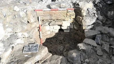 Tuam excavation uncovers additional infant graves and confirms long-hidden burial ground