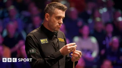 UK Snooker Championship 2025 LIVE: Watch Mark Selby vs Barry Hawkins - scores, stream & results