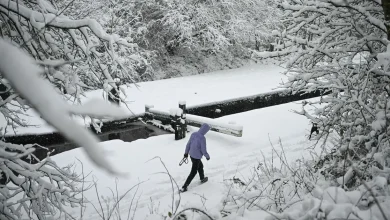 UK snow maps turn icy blue as 3.5-inch snow blanket to cover parts of Britain
