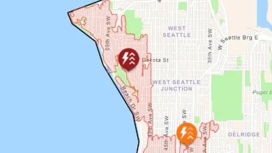 UPDATE: Five-hour power outage for almost 5,000 West Seattle customers. Plus, Junction tree down (but not the outage cause)