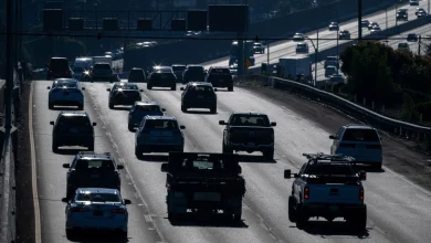US Holiday Road Trips Expected to Hit Record as Gas Prices Crater