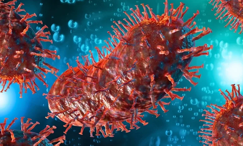 US Man Dies From Rabies After Receiving Infected Kidney