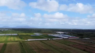 US Threatens to Cut Fiji Aid Over Impunity for Doomsday Cult