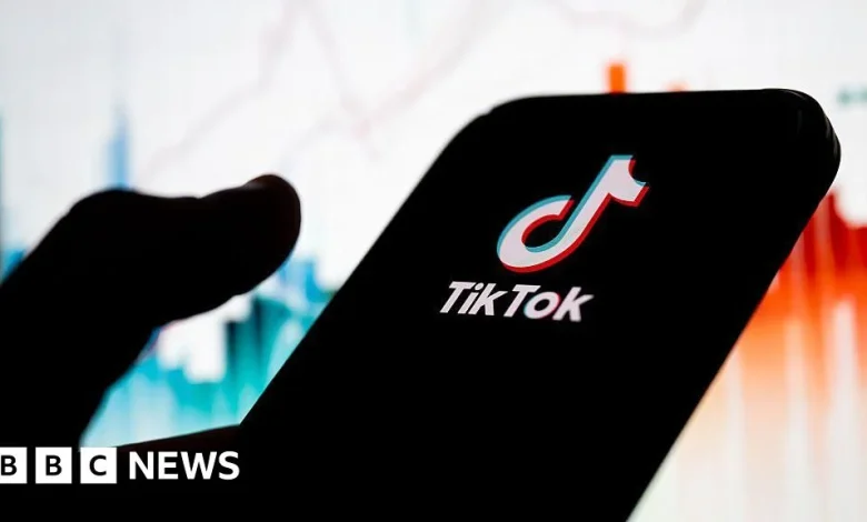 US TikTok investors in limbo as deal set to be delayed again