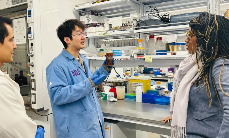 US engineers decode how iron oxides grab carbon at the nanoscale