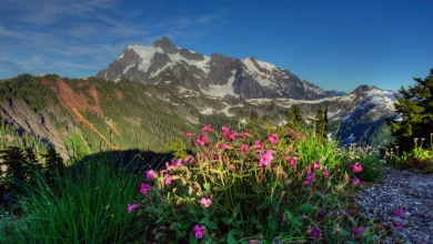 US national parks drop free admission on MLK Day and Juneteenth, but add Trump's birthday