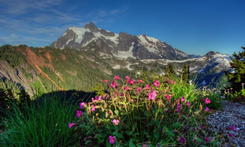 US national parks drop free admission on MLK Day and Juneteenth, but add Trump's birthday
