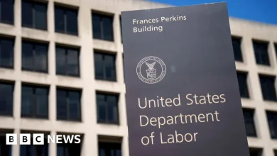 US unemployment rose in November to a four-year high