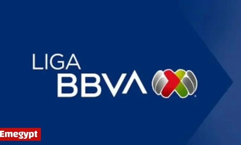 Unveiling the Surprising Truth About Bitcoin’s Actual Risk Level