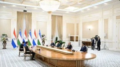 Uzbek-Paraguayan relations elevated to a new stage of development