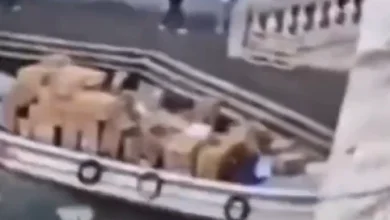 VIDEO | Ruba un barcone e si schianta contro un Ponte a Venezia