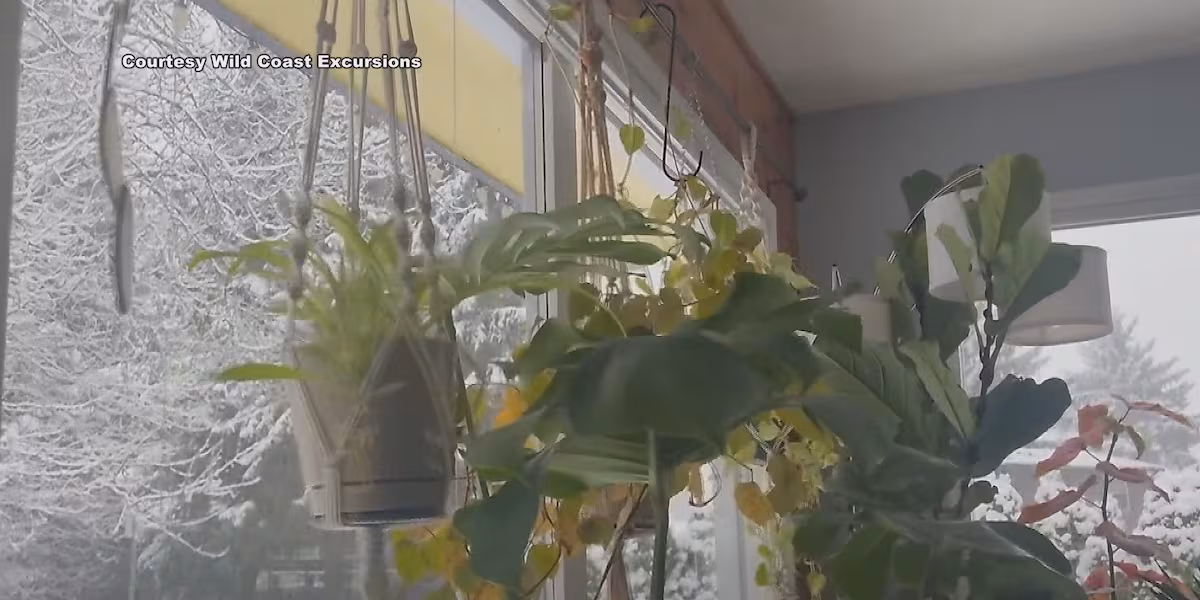 VIDEO: Yakutat quake captured on camera in Juneau, woman in Haines shares experience