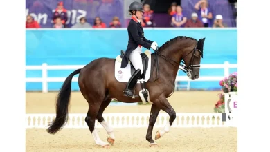 Valegro And Uthopia, British Dressage Stars, Have Died
