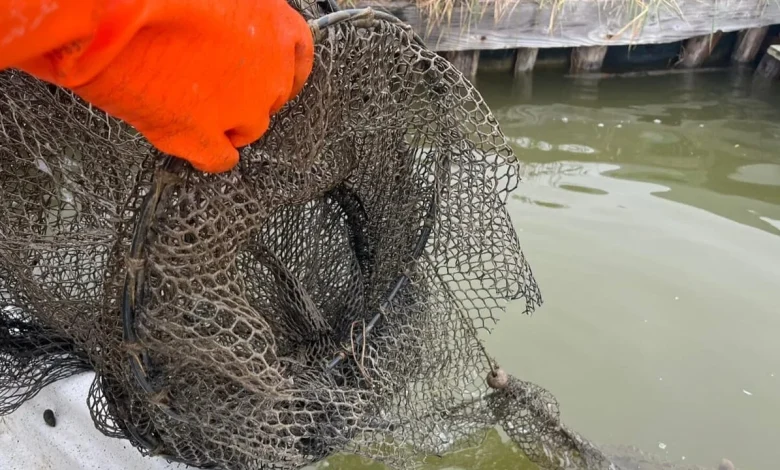 Vandali nel Parco del Delta del Po, ignoti danneggiano le attrezzature per la pesca