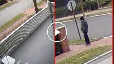 Video: Officials Release Enhanced Video of Brown University Shooting Suspect