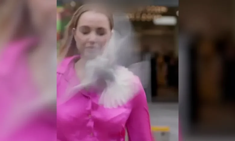 Video shows New Zealand news reporter get struck by seagull on camera