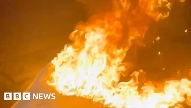 Video shows mattress and bushes engulfed in fire in Peterborough