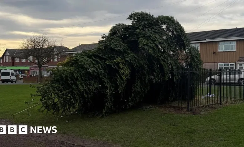 Villagers try to restore felled Shotton Colliery Christmas tree