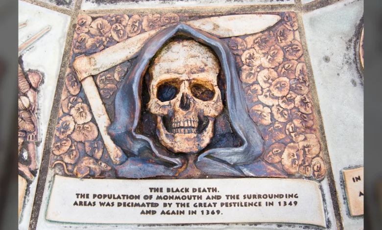 Volcanic eruption triggered 'butterfly effect' that led to the Black Death, researchers find