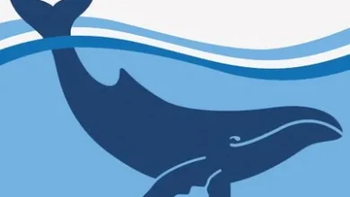 WA Govt Vows to Restore Iconic Reef Fish Stocks