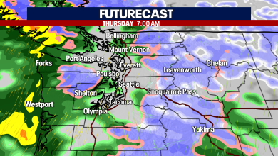 WA Weather: Widespread rain, breezy winds and mountain snow Thursday