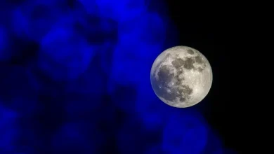 Want to catch the last supermoon of 2025? Here's what to know
