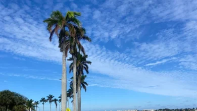 Warm weekend ahead before cold front