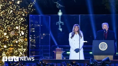Watch: President Trump and First Lady Melania light National Christmas Tree