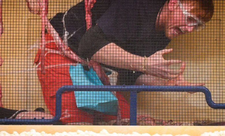 Watch the moment Angry Ginge snaps at Ant & Dec in tense trial & swears at them