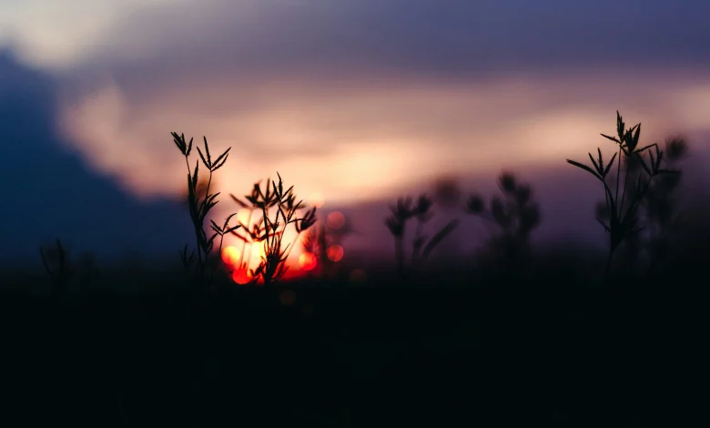 We Are Still Here, Inside the Longest Night