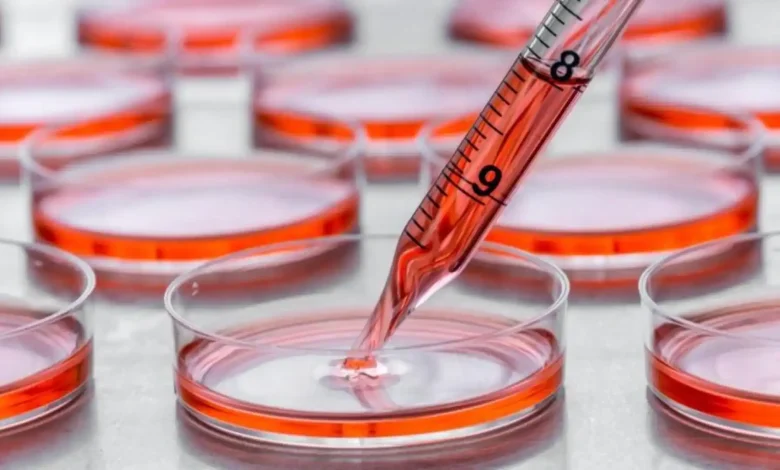 We might finally have a cure for Parkinson's disease