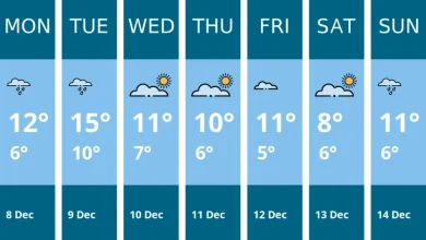 Weather forecast for this week in Kenilworth - 8 Dec to 14 Dec