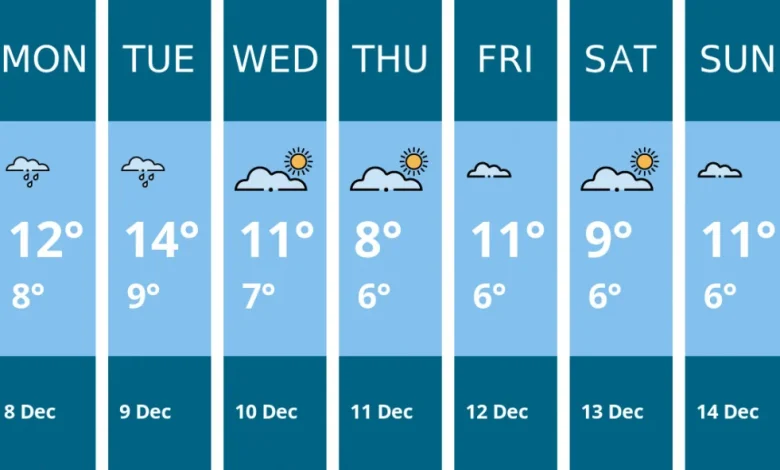 Weather forecast for this week in Kingston - 8 Dec to 14 Dec