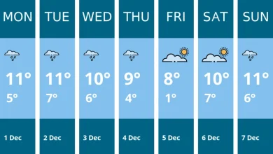 Weather forecast for this week in Maldon - 1 Dec to 7 Dec