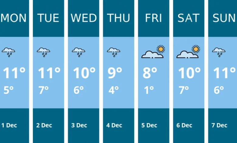 Weather forecast for this week in Maldon - 1 Dec to 7 Dec